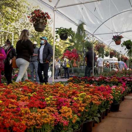 Fería de la Candelaria 2022 }San Miguel de Allende