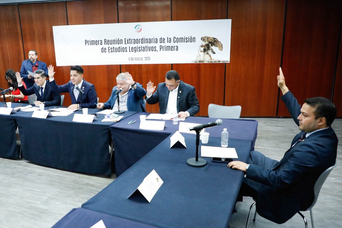 Aprueba Comisión del Senado proyecto para declarar el 9 de marzo como el “Día Nacional Sin Nosotras”